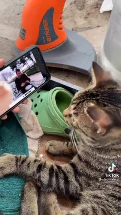 Apes be like 🦍💎🙌🏾🚀