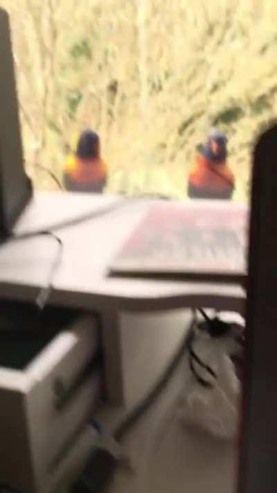 They’re keeping tabs on me