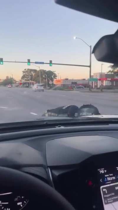 i don’t understand why he jumped on top of the car 