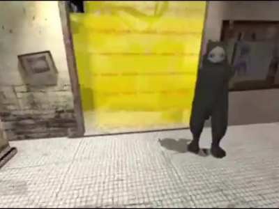 Half life with hoarding disorder