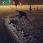 First Red weather alert in Iceland. We welcome this tourist :D