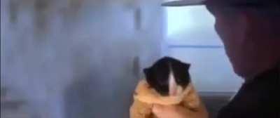 he a bit too smol for the marine corps