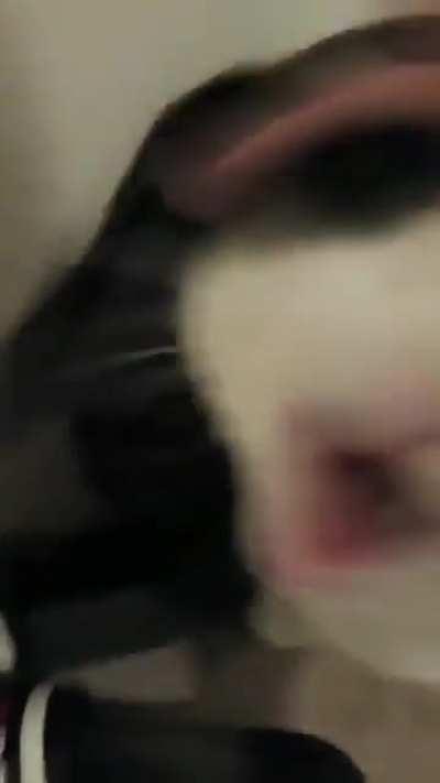 When I'm customizing my Palico's voice