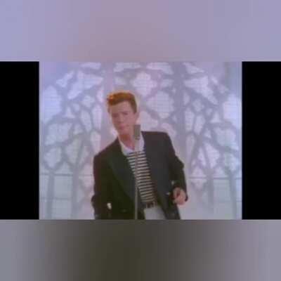 The cutest cat animation ever