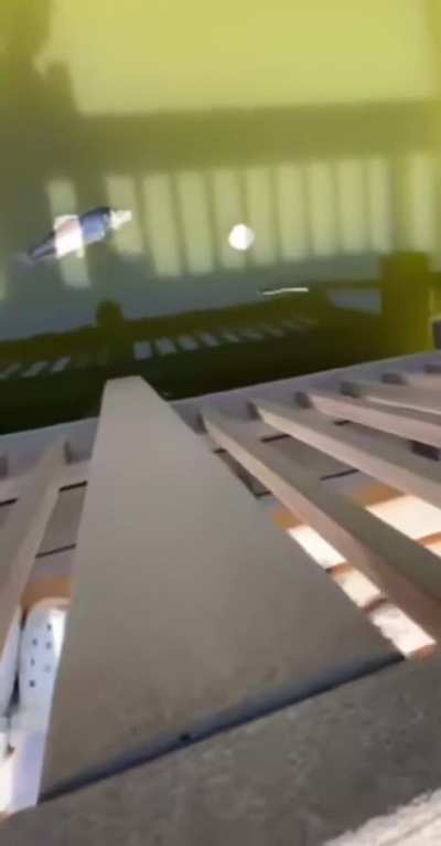 Why is the Carp not eating the food?