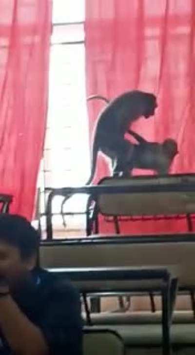 Title college gaya hai