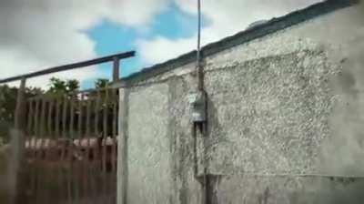 This is how you feel when you eat magic mushrooms 🍄 