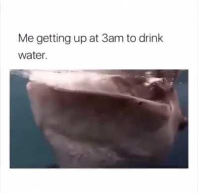 Drinking water in the middle of the night: