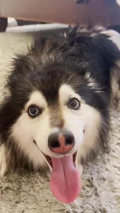 Keanu’s post bath song.