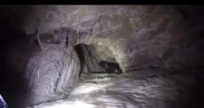 Do you mind holding my redbull when I go caving?