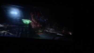 Auckland NZ Crowd Reaction