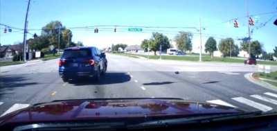 Aww man, and they just had their windshield cleaned!