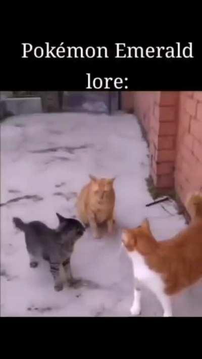 La trama más autista de Pokémon, me encanta.