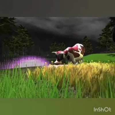 Arkadaşımın rüyası: bne manit kalp , benim rüyam: