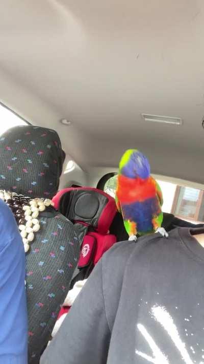 I think bro likes kdot