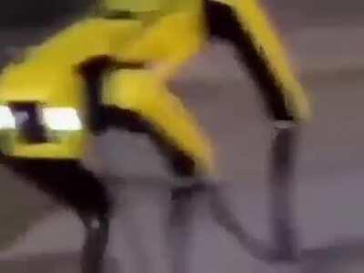 Dylan, no veas esta wea en un video