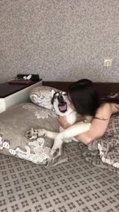 Sound On for a Husky sound off!