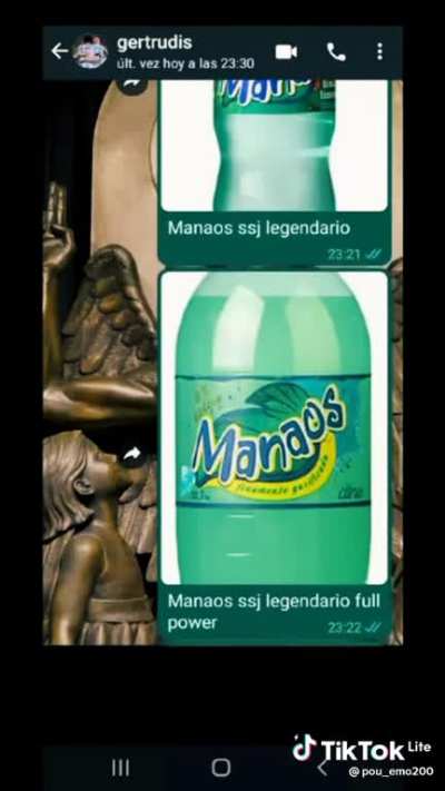 Manaos