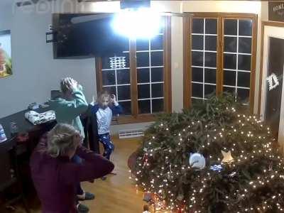 Cat destroys a Christmas tree and three souls.
