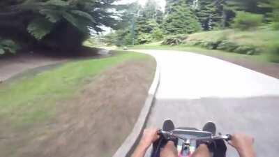 A place in New Zealand where you ride down a hill in a go cart...