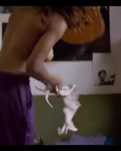 Joy Wielkens Black Tulip S01E06 (2015)