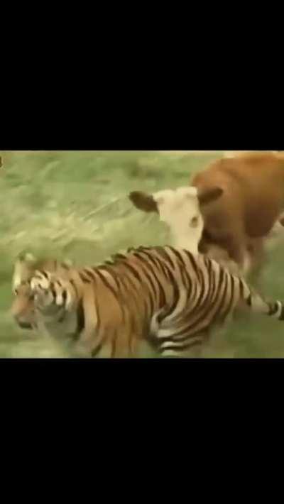 The tables just turned