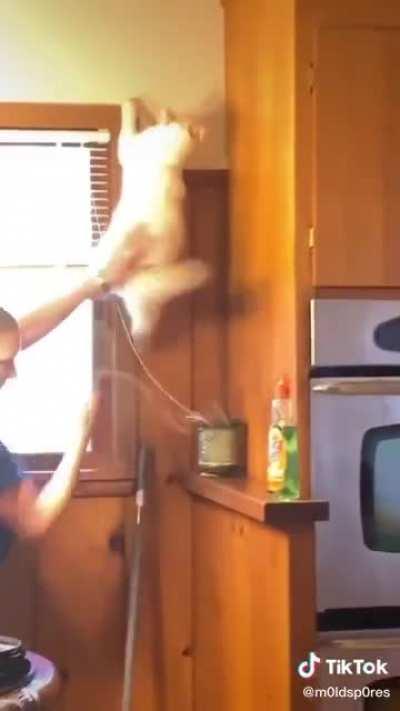 she seriously left the cat hanging