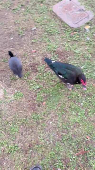 a 360 of many of my happy fatties <3