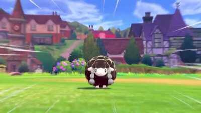 From the time I refused to start my game until I got a shiny Wooloo - almost two months on route 1