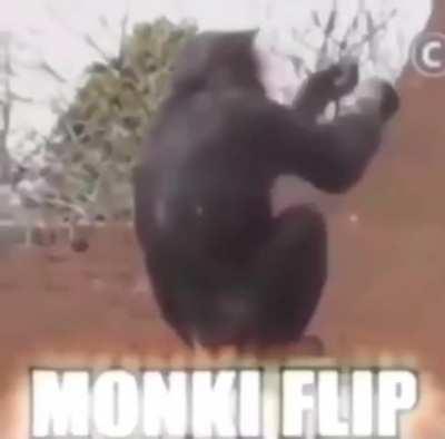 Get stick bugged... oh wait