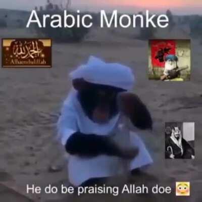 Arabic Monke