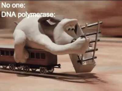 A little Wallace and Gromit [meme] for you guys.