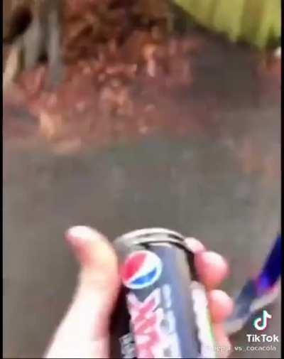 Pepsi vs Coca-Cola
