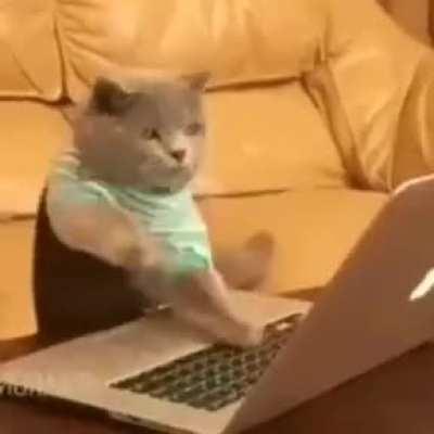 Thwackville in a nutshell