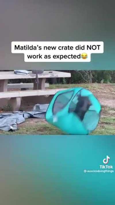 Your puny crates can’t contain me!