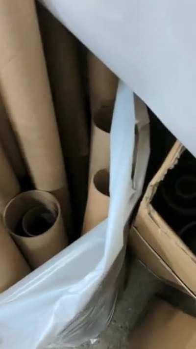 Cardboard tubes? I had plans for these but there's too many now. Someone come take them?