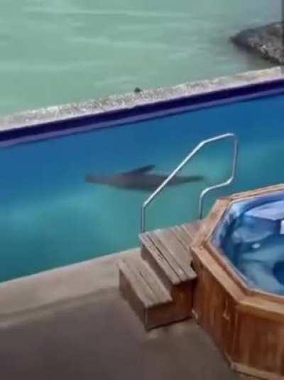 You.. yeah you...get up!