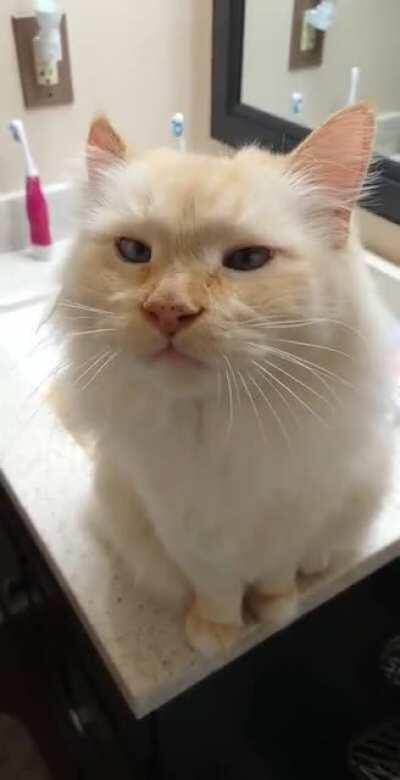 Can I please just take a dump in peace