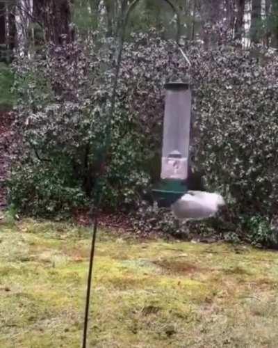 Que no se pierdan las bonitas tradiciones