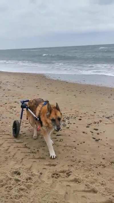 No stopping him now 💪