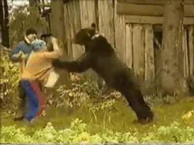 Your first mistake was feeding a bear..