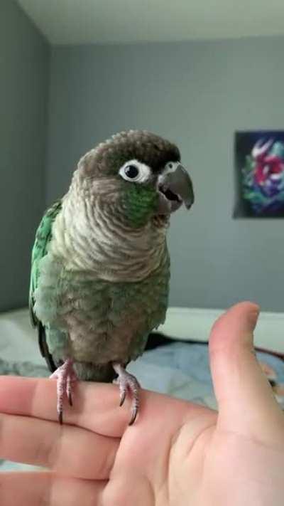 Why is he doing this?! It’s driving me crazy