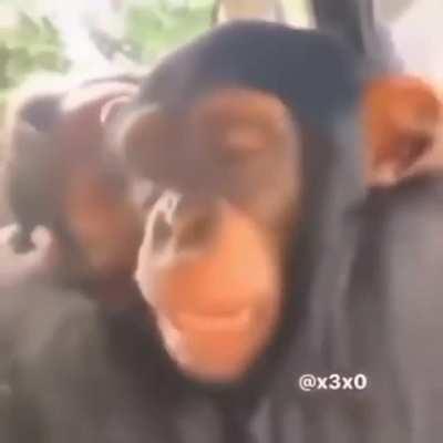 Cuando el mujicano va a Costco y se enamora de la cajera.