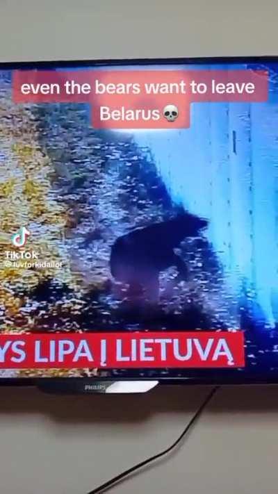 He got tired of the GDL=Belarus BS