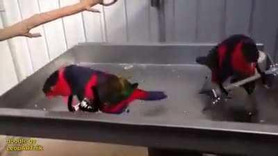 What is the name of this band?