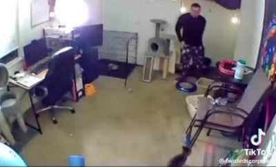 Take care of friend's cats