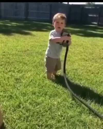 the way his hair stands up