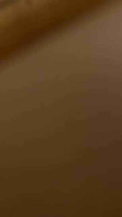 mOnsTeR uNdEr tHe fUrNitUre tErrORiZeS fAmiLy