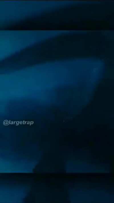 Por esto soy team Kong