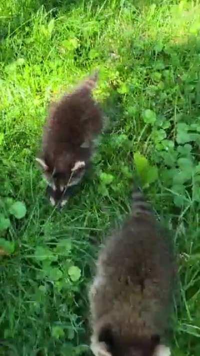 You guyyyyysssss 🥺